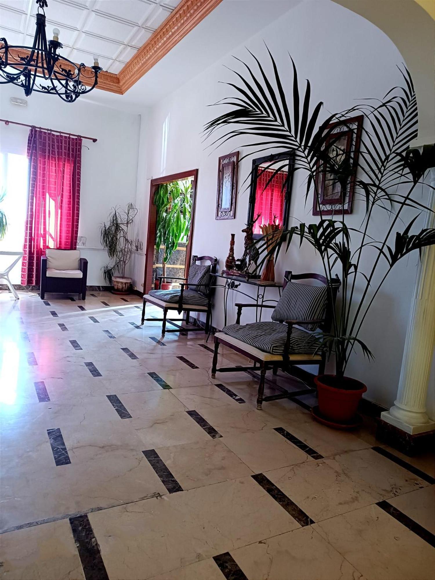 Hostal El Lirio Bollullos Par del Condado Esterno foto